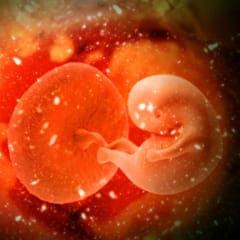 Anomalías de la inserción placentaria