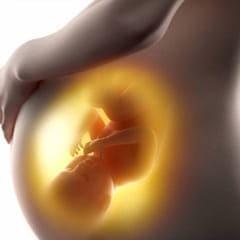 Rh negativo y aloinmunización materno fetal